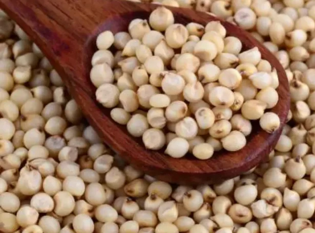 sorghum - farm and freight